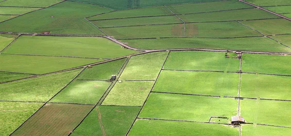 Terceira Azores adasının tarım manzarası.