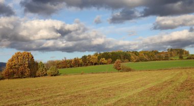 Öğleden sonra güneşinde sonbahar manzarası.