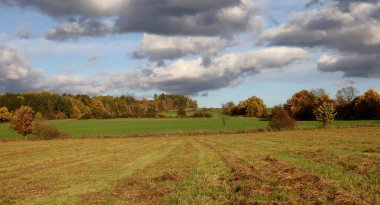 Burada ilginç bir sonbahar manzarası görebilirsiniz..