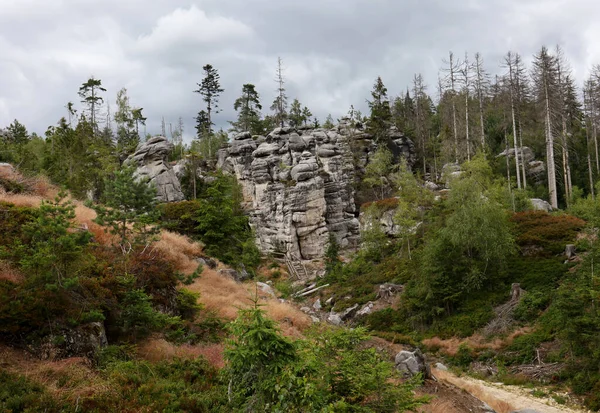 Kaya tırmanışı ve turizm bölgesi Ostas Çek Cumhuriyeti.