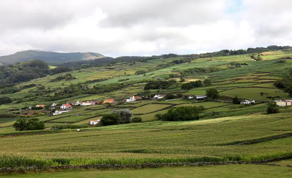 Azores, Terceira adası, ilginç bir manzara..