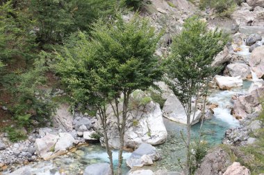 Dağlardaki vahşi nehrin manzarası.