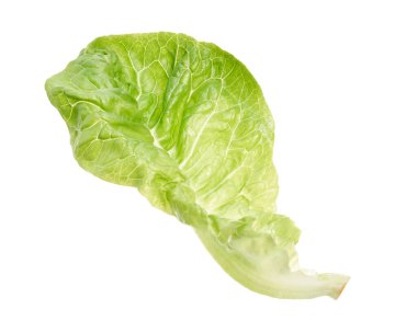 Yeşil Romaine marulu ya da Cos marulu, Sebze Bebek Cos, kesme yolu olan beyaz arka planda izole edilmiş. 
