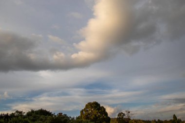 Shaped like an arrow-head a cloud moves through the afternoon sky