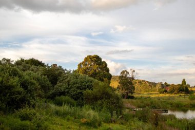 Countryside with a tree-covered hill and a lake with a jetty