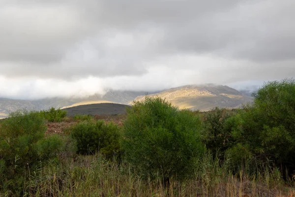 緑の木々と低い嘘の灰色の雲と丘の中腹の風景 — ストック写真