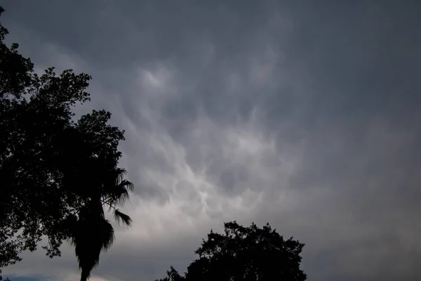 Mammatus Nubes Ante Una Lluvia Lluvia Sudáfrica —  Fotos de Stock