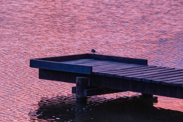 Ein Hölzerner Steg Über Dem Wasser Spiegelt Eine Rosa Morgendämmerung — Stockfoto
