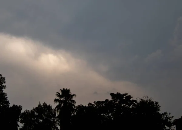 夏末的风暴云彩堆积在一排轮廓分明的树木上 — 图库照片