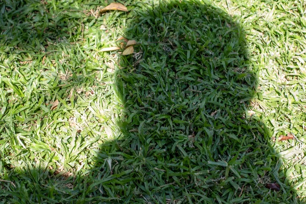 Bir insanın kafasının gölgesi