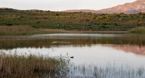 Kırsalda küçük bir su çiftliği barajı.