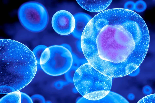 세포는 물질을 섭취하고 가공하고 수있다 렌더링 — 스톡 사진