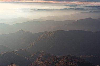 Sonbahar ormanı sabahları