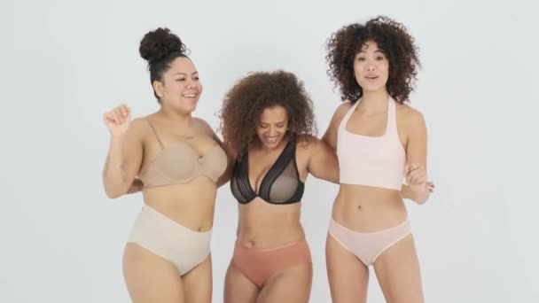 Neşeli Çok Irklı Kilolu Kadın Modeller Kıvırcık Siyah Saçlı Çamaşırlı — Stok video