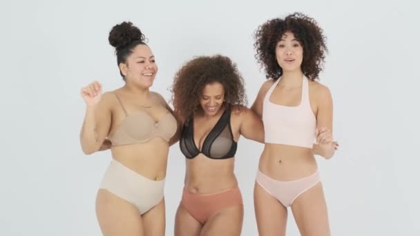 Allegro Giovane Multirazziale Forma Modelli Femminili Sovrappeso Con Capelli Ricci — Video Stock