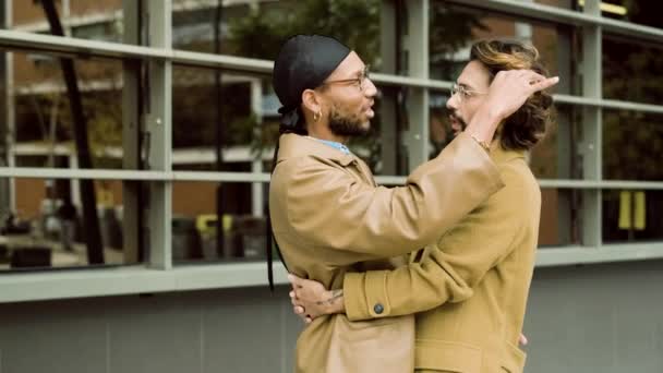 Långsam Rörelse Resa Video Multietnisk Anbud Homosexuella Par Talar Kärleksfullt — Stockvideo