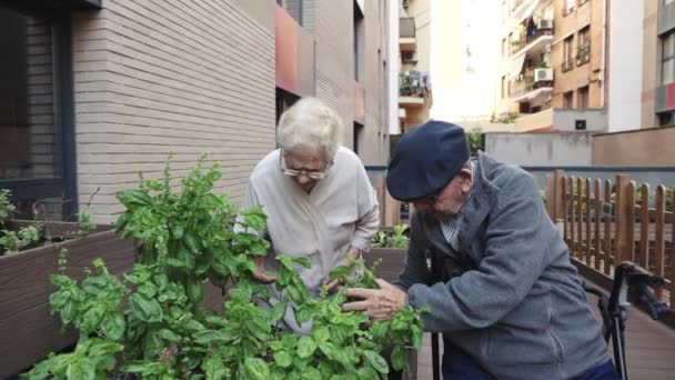 Wideo Seniorów Układających Plany Miejskim Ogrodzie Geriatrii — Wideo stockowe