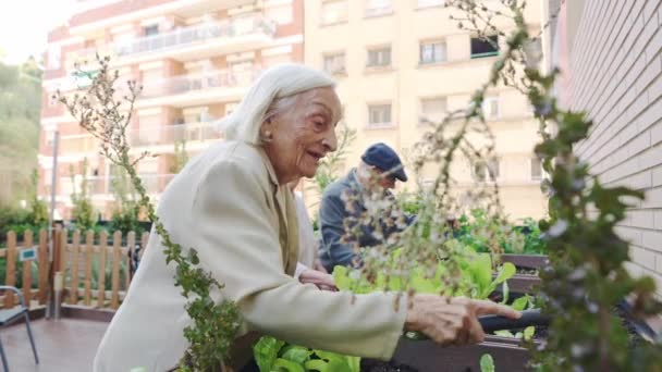 養護施設のテラスで庭に種を植える幸せな高齢者のビデオ — ストック動画