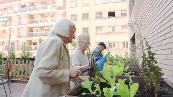 Vídeo Tres Ancianos Jardín Urbano Asilo — Vídeos de Stock