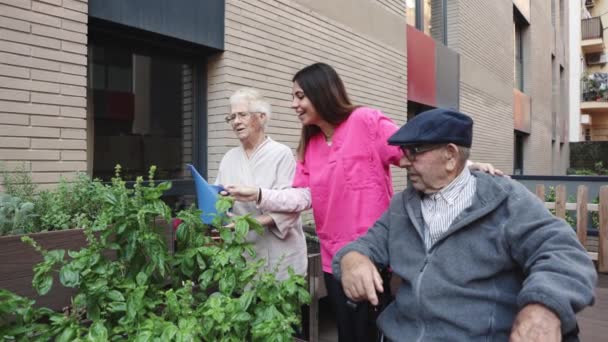 Video Pareja Ancianos Regando Plantas Con Ayuda Una Enfermera — Vídeo de stock