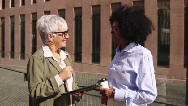 Senior Dirigenti Multietnici Femminili Parlando Nel Distretto Finanziario — Video Stock