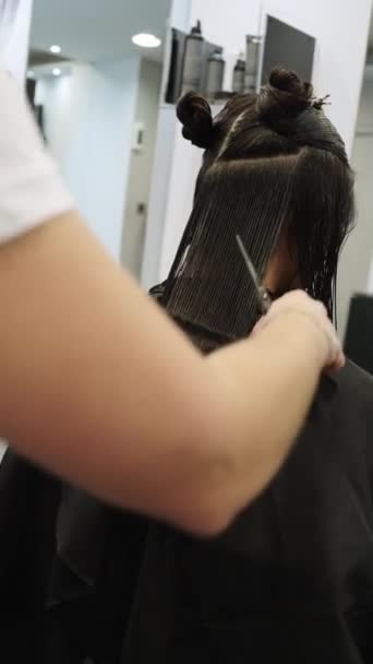 Pionowe Spowolnione Wideo Tyłu Widok Fryzjera Czesanie Obcinanie Włosów Kobiety — Wideo stockowe