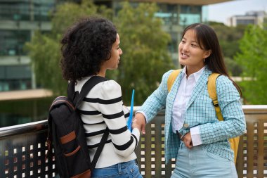 Two students are standing on a ledge, one of them is wearing a blue jacket and the other is wearing a white shirt. They are shaking hands and smiling at each other