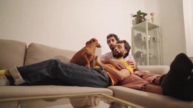 Sevecen eşcinsel çift, rahatlamış ev akşamları rahat oturma odasındaki kanepede minyatür pinscher ile neşe, sarılma ve şakalaşma anlarını paylaşıyor.