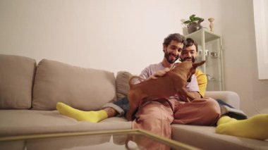 Mutlu eşcinsel çift, modern oturma odalarında rahat bir kanepede otururken küçük kahverengi köpekleriyle oynayarak eğleniyor.