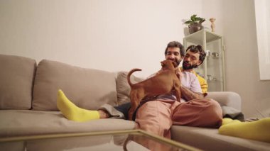 Eşcinsel çift rahat bir şekilde modern koltukta uzanıyor, rahat ev ortamının tadını çıkarırken küçük kahverengi köpekle şakalaşıyorlar.