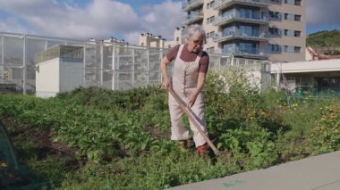 Üst düzey kadın şehir çatısı bahçe işleriyle uğraşıyor, güneşli yaz günlerinde çapayla toprağı dikkatlice işliyor, yavaş çekim tarımsal aktiviteleri yakalıyor.