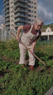Tecrübeli yaşlı bir kadın, kentsel çatı bahçesini dikkatlice işliyor, güneş ışığı altında verimli toprakları çapalıyor, sürdürülebilir yerel gıda üretimi sergiliyor.