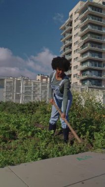 Çapayla çalışan şehir bahçıvanı güneşli bir günde şehrin ufuk çizgisine karşı çatı sebze bahçesi işletiyor sürdürülebilir tarım uygulamalarını somutlaştırıyor.