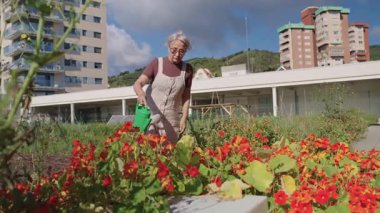 Üst düzey kadın çatıdaki şehir bahçesinde canlı çiçekleri dikkatlice besliyor güneşli yaz gününde huzurlu bir anın tadını çıkarıyor yavaş çekimde aktif emeklilik yaşam tarzını sergiliyor.