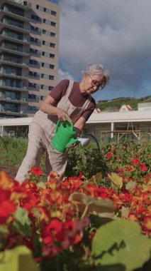 Güneşli şehir bahçesinde kırmızı ve turuncu çiçekleri yeşil sulama tenekesiyle besleyen yaşlı kadın, huzur dolu emeklilik hobisini dile getiriyor