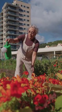Kıdemli kadın canlı kırmızı ve turuncu çiçekleri besliyor, güneşli bir günde çatı bahçesinin bitkilerini suluyor, sakin kentsel bahçe hayatını yavaş çekimde sergiliyor.
