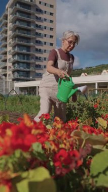 Canlı şehir bahçesinde kıdemli renkli çiçekleri büyütmek, huzurlu bir emeklilik eğlencesi sunmak ve doğayla nazik ve sevgi dolu bir bağ kurmak.