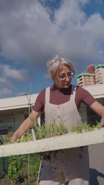 Tecrübeli bahçıvan elinde tohum tepsisiyle gelişen fideleri dikkatlice tutarak yavaş çekim bahçıvanlık sekansıyla kentsel tarım sürecini gözler önüne seriyor.