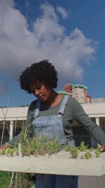 Tulum giymiş, elinde yeşil fidanlar taşıyan genç bir kadın çiftçi bahar ekimi sürecinde güneşli bir çatı bahçesinde yürüyor.