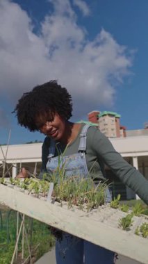 Genç çiftçi kadın tohum tepsisini yeşil fidelerle dikkatlice taşıyor güneşli bir günde gökyüzü ve bulutlarla birlikte yavaş çekim sekansıyla dışarıda yürüyor.