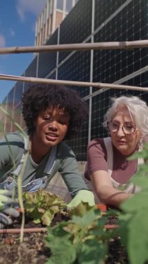 Arka planda güneş panelleri olan bir çatı bahçesine fidanlar eken iki kadın. Yavaş çekim