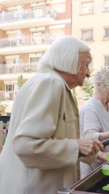 Kıdemli kadın balkon bahçesinde marul yetiştiriyor, çiçekleri dikkatlice sulıyor ve güneşli bir günde huzurlu bir şehir bahçesiyle meşgul oluyor.