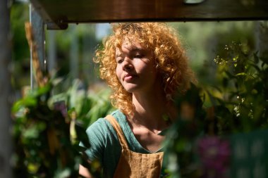 Genç bir kadın hareketli bir bitkinin fidanlığında canlı bitkiler hazırlıyor, güzel bir günde sıcak güneşin tadını çıkarıyor.