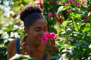 Genç bayan bahçıvan hayat dolu, güneşli bir bahçede çiçek açan pembe bir gülün hoş kokusunun tadını çıkarıyor.