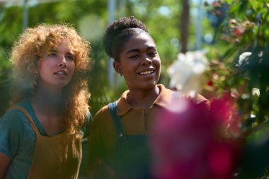 İki genç kadın bahçıvan güneşli bir serada çiçek açmanın güzelliğinin tadını çıkarıyorlar. Doğa ve bahçıvanlığa olan tutkularını ifade ediyorlar.