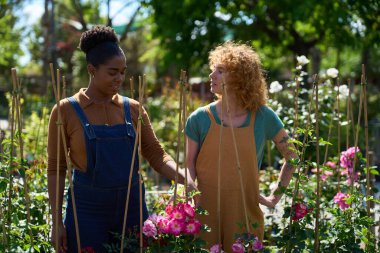 İki genç kadın bir fabrikada çalışıyor gül çalıları, bahçıvanlık, botanik ve doğa konseptiyle ilgileniyorlar.