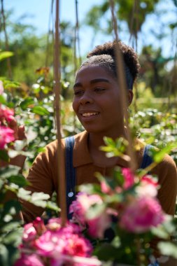 Güneşli bir bahçe merkezinde canlı gül çalıları ile ilgilenen gülümseyen genç siyah kadın, serpilen bir açık hava kreşinde işinden zevk alıyor.