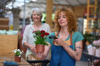 Çiçekçi çiçekçide beklerken barkod okuyucusuyla kırmızı karanfil kabını tarıyor.