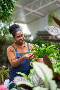 Serada çalışan genç bir kadın, kuş yuvalarının yapraklarını dikkatlice inceliyor, canlı bir çevrede büyümeyi besliyor.