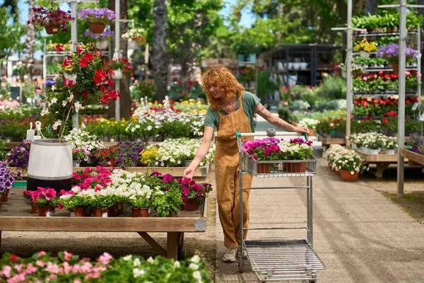 Canlı bir bahçe merkezinde çalışan bir kadın, çiçek açan bitkiler arasından renkli çiçekler seçerken el arabasını itiyor.